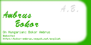 ambrus bokor business card
